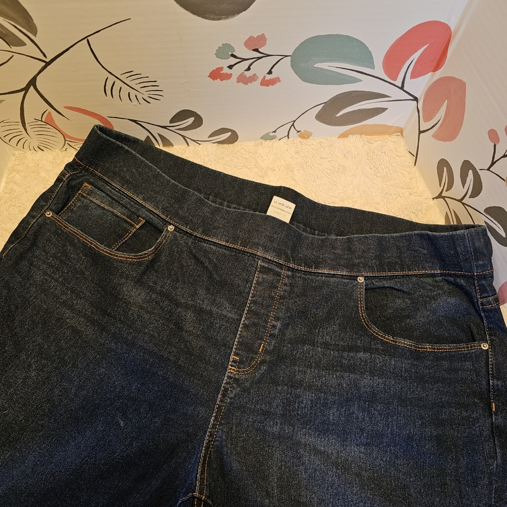 NWOT Terra & Sky Straight Leg Pull On Jeans 1X 16/18